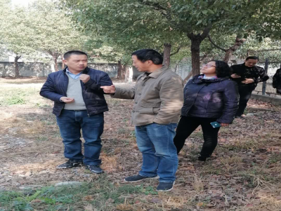 省生態(tài)環(huán)境廳大氣幫扶組組長何永杰 到公司視察大氣防治工作